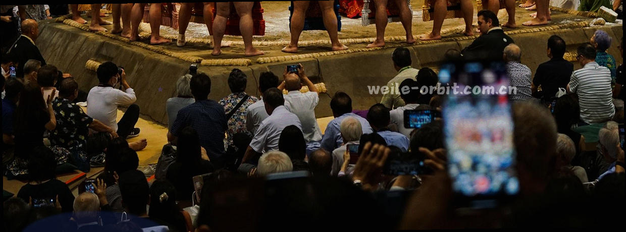 一条横向时间刻度，刻度上疏密不等地分布着短竖线与圆点，用四种颜色区分结构改版、栏目调整、资料版本与服务时段，背景为浅灰蓝渐变